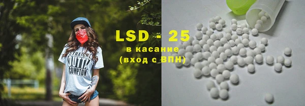 ГАЛЛЮЦИНОГЕННЫЕ ГРИБЫ Алзамай