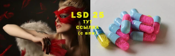 ГАЛЛЮЦИНОГЕННЫЕ ГРИБЫ Алзамай