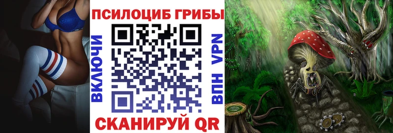 купить закладку  Нижний Новгород  Галлюциногенные грибы MAGIC MUSHROOMS 